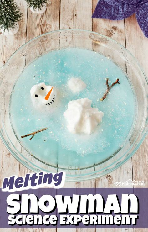 Snowman Crafts Preschool, Winter Stem Activities, Winter Science Activities, Christmas Science Experiments, Winter Science Experiments, Experiments For Preschoolers, Melting Snowman, Snowmen Activities, Snow Globe Crafts