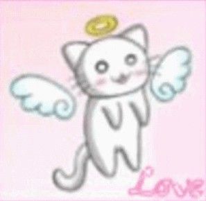 Kangel Gif, Coquette Gif, Angel Gif, Kitty Gif, Angel Cat, Cute Gifs, Cute Gif, Pink Aesthetic, Cute Icons