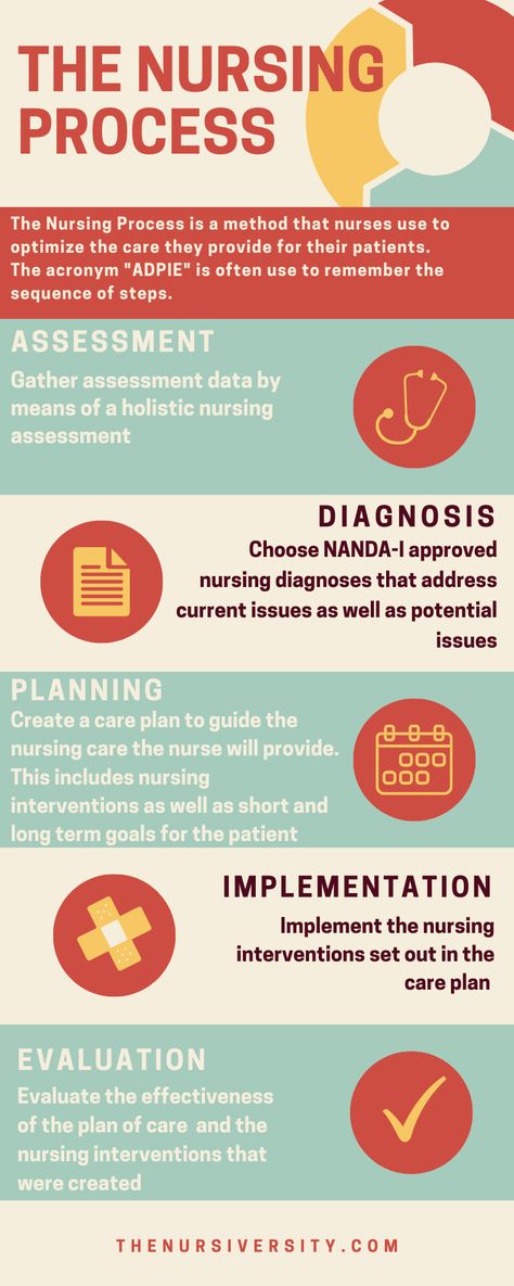 Nursing Process Study Guide, Practical Nursing Student Tips, School Nurse Quotes, Foundation Of Nursing, Nursing Infographic, Fetal Circulation, Infographic Process, Nursing Planner, Nursing Things