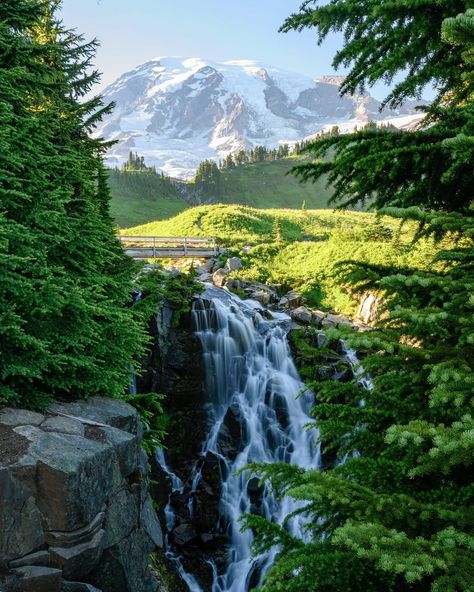 17 Breathtaking Hikes in Mount Rainier National Park, Washington - Renee Roaming Washington Mountains, Washington State Parks, Washington State Travel, Mt Rainier National Park, Washington Hikes, Washington Travel, Adventure Aesthetic, Mount Rainier National Park, Rainier National Park