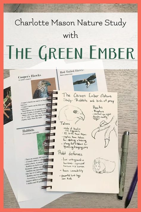 Charlotte Mason Nature Study with The Green Ember The Green Ember Activities, Green Ember Book Club, The Green Ember, Green Ember, Living Books List, Slippery Fish, Oreo Torte, Homeschool Nature Study, Charlotte Mason Homeschool