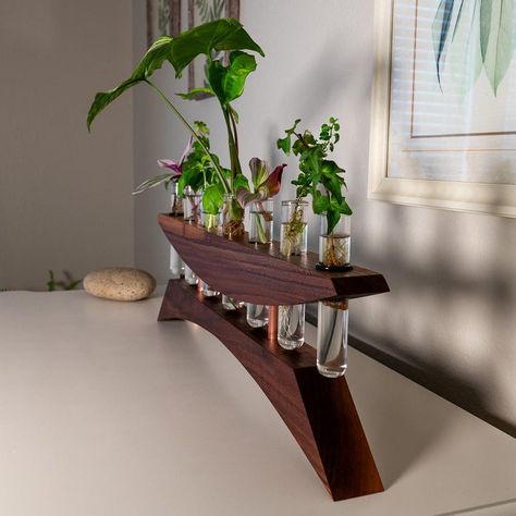 The beauty of "East of the Sun," a gracefully designed propagation station that combines the elegance of walnut with the warm sheen of copper. This piece draws inspiration from Japanese and modern aesthetics, offering a stylish and functional platform for nurturing your beloved plants. Perfect for rooting cuttings or displaying fresh blooms, "East of the Sun" brings a piece of tranquility to your home or office.  Key Features      Quality Construction: Made with premium hardwoods, shown here in Black walnut, paired with elegant copper accents.     Generous Capacity: Includes 7 test tubes for propagation, providing ample space for growing multiple plant cuttings.     Substantial Size: Measures 24 inches long and 7 inches high, extending to 9 inches with tubes inserted, and nearly 2 inches t Natural Wood Console Table, Woodworking Beginner, East Of The Sun, Test Tube Vase, Kitchen Tools Design, Woodwork Ideas, Propagation Station, Diy Plant Stand, Diy Wooden Projects