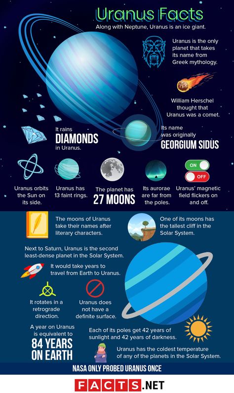 Neptune Facts, Solar System Facts, Planets In The Solar System, Uranus Planet, Solar System Worksheets, Planet Project, Solar System Projects, Solar System Crafts, Astronomy Facts