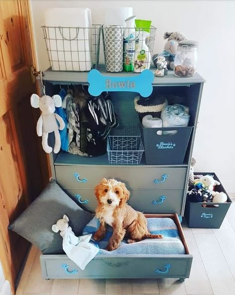 Dog Wardrobe Ideas, Dog Wardrobe Closet, Dog Clothes Storage Ideas, Dog Clothes Organization, Puppy Set Up Ideas In Bedroom, Dog Storage Ideas Organizations, Organize Dog Stuff, Pet Corner Ideas Dogs, Small Dog Room Ideas