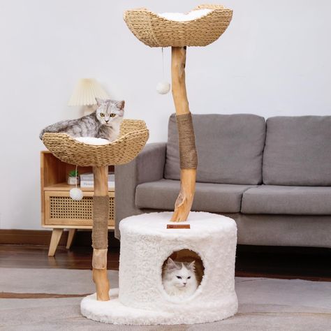 PRICES MAY VARY. 【Natural Aesthetic for Versatile Use】Our wood cat tree, crafted from natural fruitwood, adds a touch of nature's charm to any space, be it your home, office, or pet cafe. 【Sturdy, Durable, and Sustainable】Made from durable aged fruitwood, our modern cat tower ensures lasting strength while promoting environmental sustainability. 【Easy Assembly and Easy Cleaning】Designed for effortless assembly and maintenance, our cat condo comes with clear instructions and requires only simple Stylish Cat Tower, Modern Cat Tower, Tree Cat Tower, Unique Cat Trees, Wood Cat Tree, Pet Cafe, Gato Grande, Tree Cat, Luxury Cat