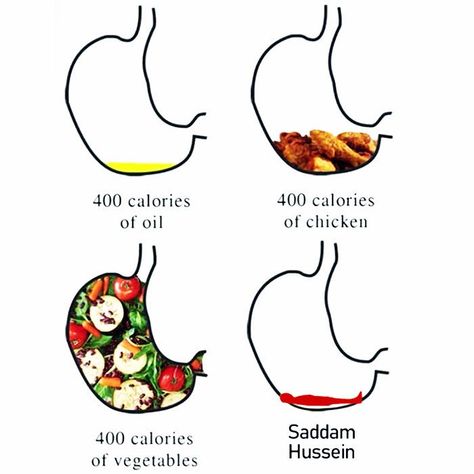 Calorie Counting Comparison Time ? 🍴🍴���👍 Sadam Hussein, Ed Sheeran Facts, Saddam Hussain, Hiding Spots, Pinterest Memes, Funny Images Laughter, Hiding Places, Know Your Meme, Calorie Counting