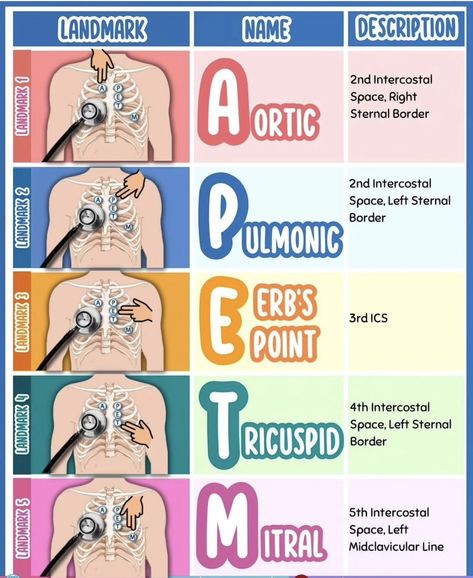 Evidence Based Practice Nursing, Nursing Cardiovascular, Pathophysiology Nursing, Nursing School Prep, Nursing School Studying Cheat Sheets, Study Sheets, Nursing School Inspiration, Nurse Teaching, Medical Assistant Student