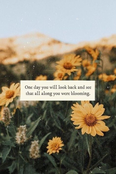 Yellow Flower Quotes, Flower Quotes Love, Sunflower Quotes, Sunflower Wallpaper, Super Quotes, Flower Quotes, Baby Quotes, Nature Quotes, New Energy