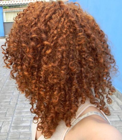 Honey Ginger Curly Hair, Copper Natural Curly Hair, Ginger Blonde Curly Hair, Ginger Brown Curly Hair, Honey Brown Curly Hair, Honey Red Hair, Ginger Curly Hair, Dyed Curly Hair, Highlights Curly Hair