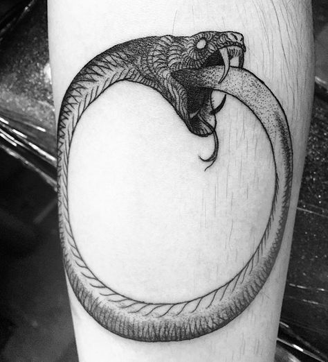 Poor photo but the heads where the actions at ✨ #ouroboros #ouroborostattoo… Snake Eating Itself, Snake Tattoo Meaning, Snake Eating, Ouroboros Tattoo, Serpent Tattoo, Small Rose Tattoo, Geniale Tattoos, Tatuaje A Color, Modern Tattoos