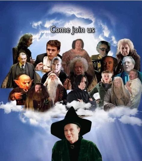 Harry Potter Movie Characters, Harry Potter Fan Theories, Minerva Mcgonagall, Harry Otter, Glume Harry Potter, Funny Harry Potter Jokes, Harry Potter Feels, Ministry Of Magic, Harry Potter Pin