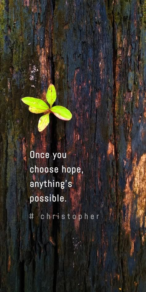 Hope Quotes Positive Motivation, Gd Morning Quotes, Nature Quotes Beautiful, Magical Quotes, Tiny Quotes, Strong Mind Quotes, Powerful Inspirational Quotes, Quotes Of Life, Cute Inspirational Quotes