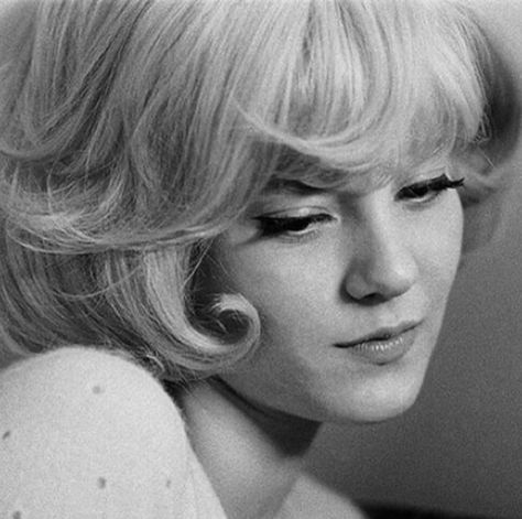 1960s Hair, Sylvie Vartan, Hair Reference, Vintage Hairstyles, Vintage Beauty, Hair Inspo, Hair And Nails, Style Icons, Hair Inspiration