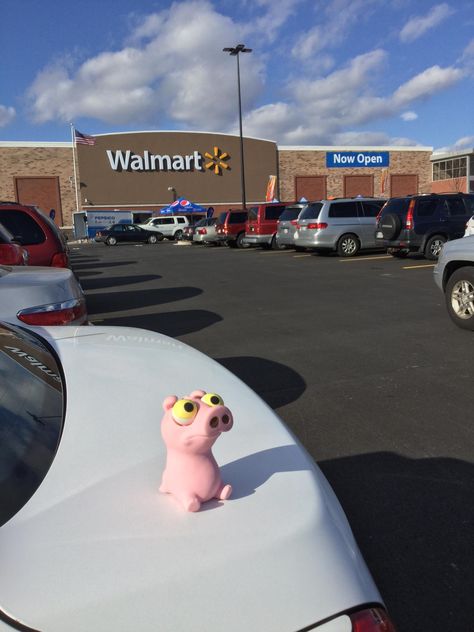 Izzy at the new Walmart Frederick - Monocacy Blvd. Frederick MD · Great news !!!! There's a brand new Walmart down the road from the old one. All is great in our household once again. Izzy approves of the Super Walmart and the location. Not too keen on the in and out access of the place. It is packed today. If we had to park any further we would be in the old stores parking lot... (28-Jan-2017) Walmart Parking Lot, Frederick Md, Photo Op, Old Ones, Always Love You, Parking Lot, Art Class, The Road, The Old