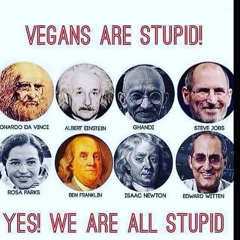 #vegan bashing Vegetarian Quotes, Famous Vegans, Vegan Facts, Vegan Memes, Animal Activism, Vegan Quotes, Why Vegan, Vegan Humor, Vegan Inspiration