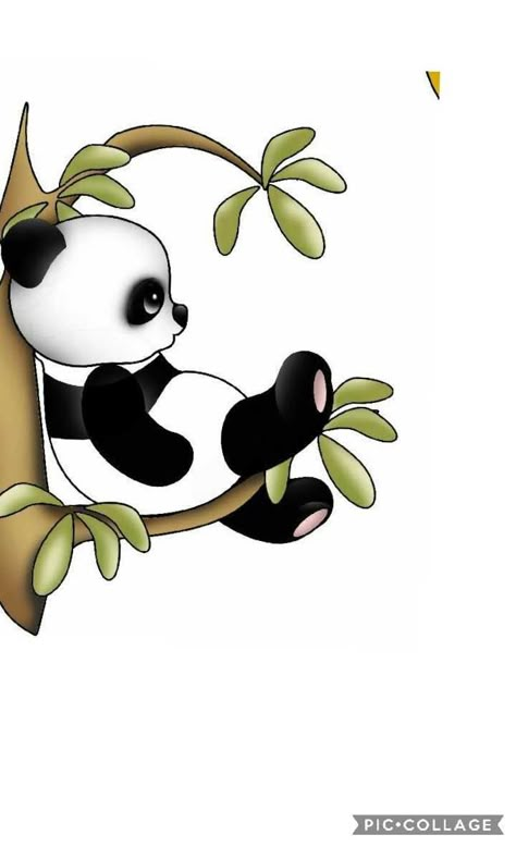 Cartoon Panda Drawing, Panda Cute Drawing, Panda Vector, Cute Panda Drawing, Panda Clipart, Panda Artwork, Cute Panda Cartoon, Panda Illustration