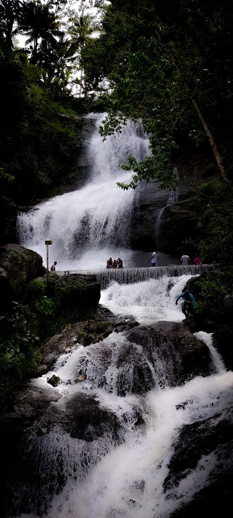 Aleekal waterfalls is the one of underated waterfalls in the Kerala Kerala Waterfalls, Kutralam Falls, Kerala Backwaters Houseboats, Kerala Backwaters, Keonjhar Waterfall, Kerala, Water