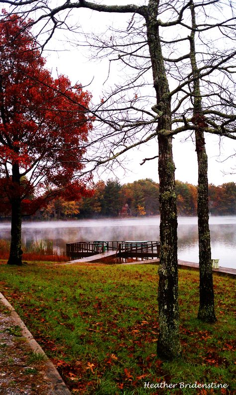 Autumn in Tennessee Tennessee Autumn, Forest Falls, Small Towns Usa, Lakeside Living, Rocky Top, Seasons Of The Year, Outdoor Life, Country Life, Autumn Summer