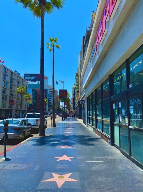 Hollywood Walk Of Fame Aesthetic, Hollywood Sign Aesthetic, Los Angeles Walk Of Fame, Hollywood Stars Walk Of Fame, Hollywood Background, Los Angeles California Photography, Hollywood Vibes, Los Angeles Wallpaper, Camp America