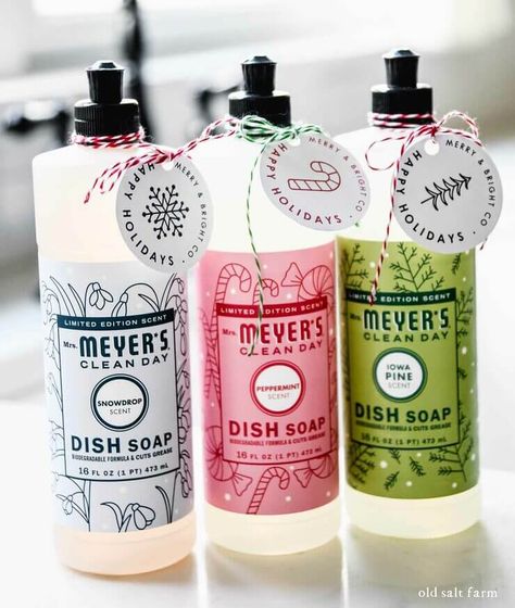 Free printable Christmas gift tags, perfect for Mrs. Meyer's holiday soaps, or any Christmas gift or package! Hand Soap Gift, Inexpensive Holiday Gifts, Free Printable Christmas Gift Tags, Soap Christmas, Christmas Gift Tags Free, Best Secret Santa Gifts, Christmas Hostess Gifts, Holiday Soap, Soap Gifts