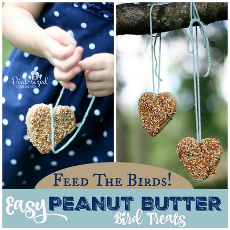 bird treats made with peanut  butter Cute Treats, Feed The Birds, Bird Seed Ornaments, House Kits, Bird Treats, Diy Bird Feeder, Diy Birds, Easy Peanut Butter, Winter Bird