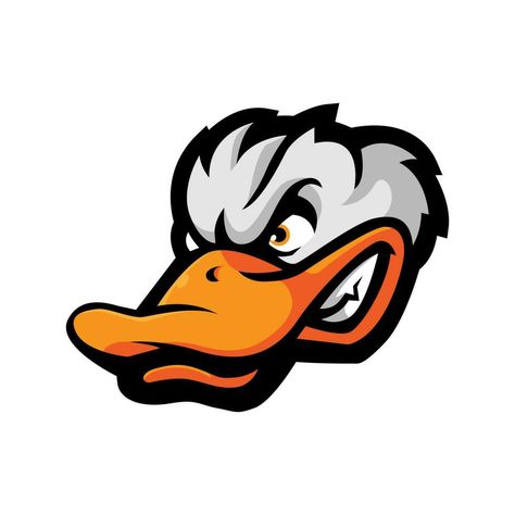 Ducks Illustration, Duck Vector, Duck Illustration, Duck Head, Apparel Merchandising, The Duck, Sports Logo, Design Vector, Ducks