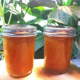 Habanero Honey Hot Sauce - PepperHead Habanero Honey Sauce, Honey Habanero Sauce, Peach Habanero Sauce, Habenero Honey Recipe, Habanero Honey, Honey Hot Sauce, Habanero Recipes, Pineapple Vinegar, Habanero Sauce