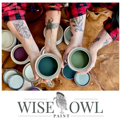 Wise Owl One Hour Enamel, Salt Wash Paint, Refinished Vintage Furniture, Wise Owl Paint, Wise Owl, Coastal Chic, Paint Supplies, Mineral Paint, Enamel Paint