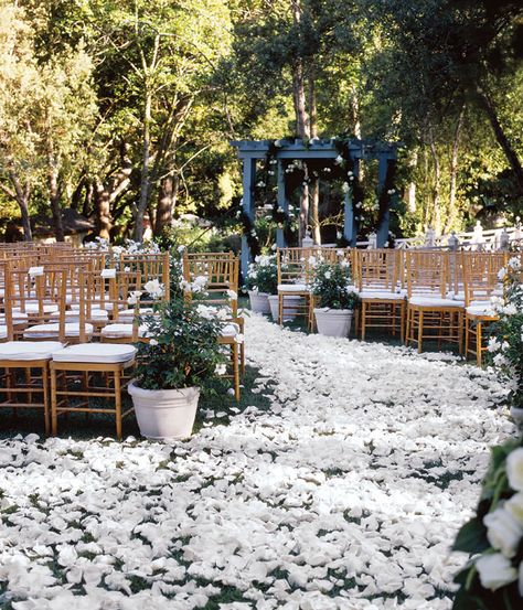 colin cowie wedding ceremony aisle Colonial Chic, Rose Petal Aisle, Colin Cowie Wedding, Wedding Ceremony Traditions, Aisle Flowers, Enchanted Forest Wedding, Unique Wedding Decor, Bridal Guide, Wedding Plan