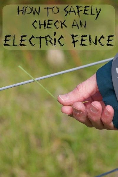 How to Safely check an electric fence Electric Fence For Cattle, Goat Fence, Livestock Fence, Small Holding, Horse Fencing, Farm Stuff, Fencing & Gates, Farm Fence, Hobby Farm