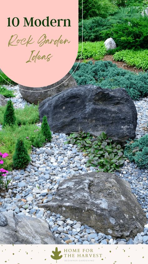 10 Modern Rock Garden Ideas via @home4theharvest Modern Rock Garden, Boulder Garden, Rock Garden Ideas, Rockery Garden, Landscaping With Large Rocks Natural, Modern Rock, Rock Landscaping Ideas, Backyard Design Layout, Drought Resistant Plants