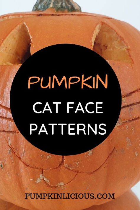 How To Carve A Cat Pumpkin, Easy Kitty Pumpkin Carving Ideas, Kitty Jack O Lantern Ideas, Pumpkin Carving Ideas Cat Face, Cat Carved Pumpkins Ideas, Kitty Pumpkin Carving Ideas, Easy Cat Pumpkin Carving Ideas, Pumpkin Carving Ideas Cat Easy, Pumpkin Painting Ideas Cat