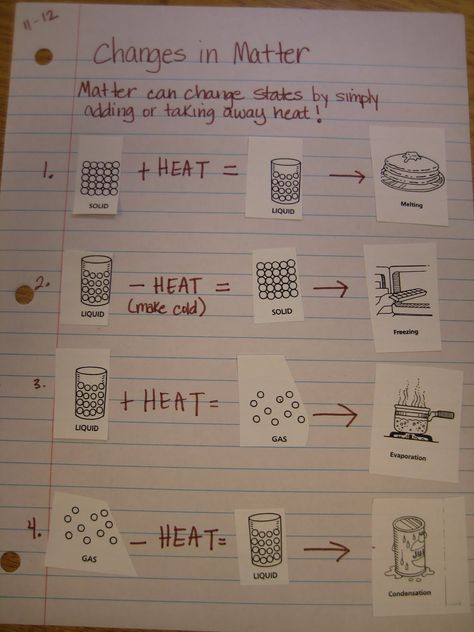 Changes In Matter, Fourth Grade Science, Science Kids, Second Grade Science, Education Major, General Science, 7th Grade Science, Third Grade Science, Science Notebook