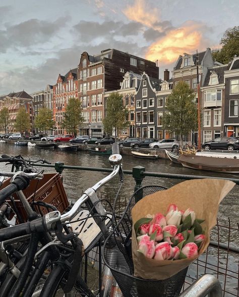 Places Around The World Aesthetic, Cute City Aesthetic, Amsterdam Netherlands Aesthetic, Amsterdam Aesthetic Summer, Around The World Aesthetic, Travel The World Aesthetic, Down Town Aesthetic, Europe Trip Aesthetic, Amsterdam In November