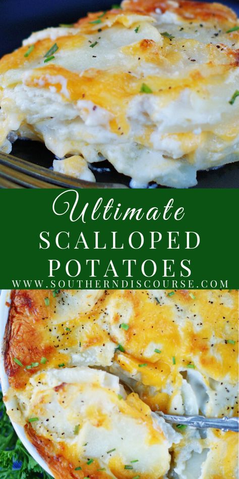 Ultimate Scalloped Potatoes are a classic comfort side dish! A true favorite for Sunday dinners, holidays or any night of the week, these thinly sliced, layered potatoes bake up tender and full of flavor in a rich homemade cream sauce with a sprinkle of onion and oodles melted cheese! Southern Scalloped Potatoes, Layered Potato Bake, Layered Potatoes, Southern Discourse, Easy Scalloped Potatoes Recipe, Scalloped Potato, Southern Cooking Recipes, Layered Potato, Savory Sides