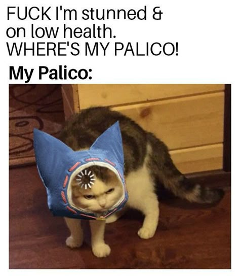 Palico Monster Hunter, Monster Hunter Cat Chef, Muhut Deviantart Monster Hunter, Monster Hunter Cat, Monster Hunter Frontier, Monster Hunter 3rd, Monster Hunter Stories 2, Gaming Rules, Monster Hunter Memes