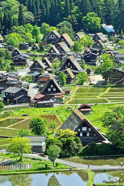 Gassho Zukuri, Japan Village, College Collage, Rural Japan, Japan Beach, Shirakawa Go, Japan Travel Destinations, Start Of Spring, Rice Paddies