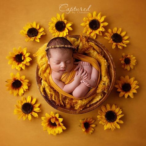 Sunshine Newborn Pictures, Sunflower Newborn Pictures, Bee Newborn Photoshoot, Sunflower Pregnancy Photoshoot, Sunflower Field Baby Photoshoot, Baby Momma Quotes, Newborn Sunflower Photoshoot, Studio Baby Photography, One Month Baby