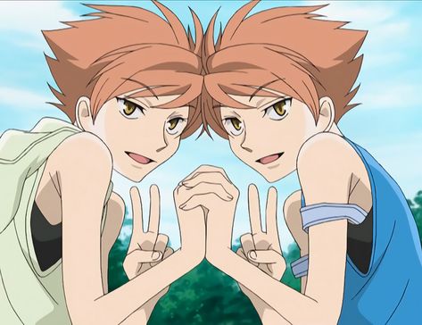 Twins, Anime