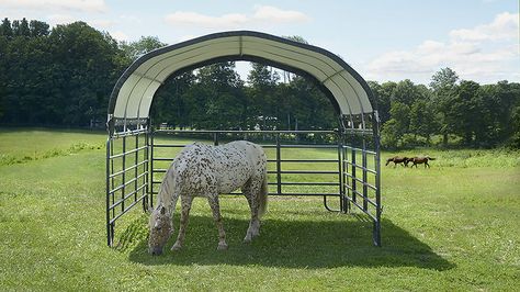 Paradise Paddock, Horse Shelters, Livestock Shelter, Portable Shade, Horse Arena, Horse Shelter, Run In Shed, Horse Ideas, Barrel Horse