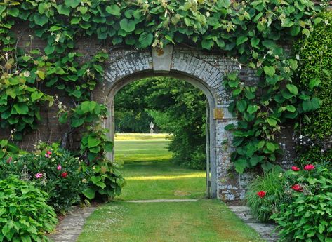 Inside the incredible Private Gardens at Petworth House. Petworth House, Golden Rain Tree, Dream House Garden, White Clematis, Growing Cut Flowers, Mansion Exterior, Sunken Garden, Estate Garden, Structural Design