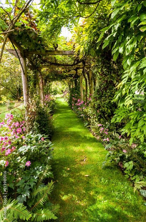 Pergola Archway, Taman Vintage, Dream Garden Backyards, Front Lawn Landscaping, River Rock Garden, Backyard Covered Patios, Sacred Garden, Fall Garden Vegetables, Cottage Garden Design