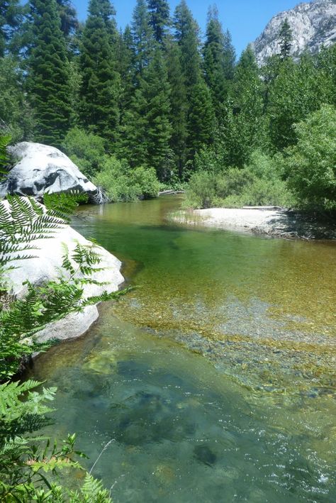 Yosemite Sequoia Kings Canyon, Providence Canyon State Park, Sequoia And Kings Canyon National Park, Glaive Cypress Grove, Cypress Grove Trail, Cedar Grove, Kings Canyon National Park, Kings Canyon, Yosemite Valley