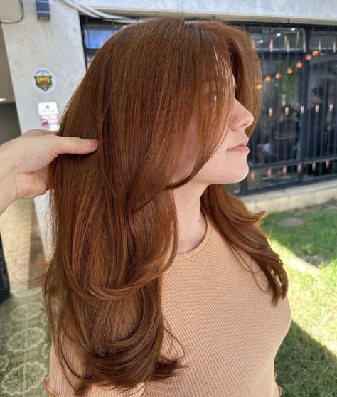 Chestnut Orange Hair, Layers Before And After Straight, Red Hair Haircuts Medium, Old Money Auburn Hair, Ginger Hair With Shadow Root, Russet Hair Color, Light Auburn Hair Color Copper Brown Red Highlights, Copper Hair Medium Length, Copper Hair Curtain Bangs