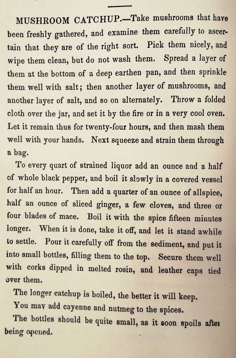Mushroom Ketchup Recipe, Mushroom Ketchup, Mushroom Farm, Historical Recipes, Ketchup Recipe, Vegetable Salad, Curries, Mushroom Recipes, Food Stuff