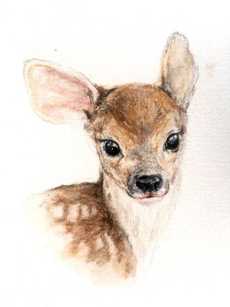 Deer Drawing, Art Mignon, 수채화 그림, Watercolor Art Lessons, Arte Sketchbook, Dessin Adorable, Baby Deer, Arte Animal, Art Inspiration Painting