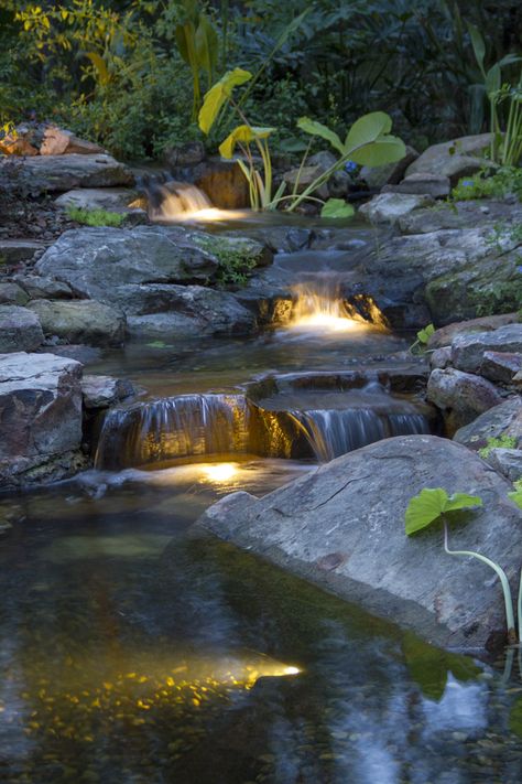 Cascading backyard waterfall lit up at night! Shed Inspiration, Kolam Koi, Backyard Ponds, Waterfall Lights, Taman Air, Building A Pond, Garden Water Feature, Garden Waterfall, Pond Waterfall