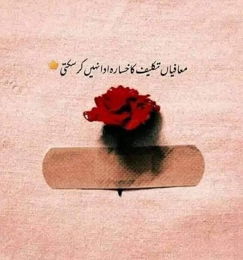 One Line Poetry, Poetry For Kids, Urdu Funny Poetry, Love Romantic Poetry, Soul Poetry, Love Poetry Images, Aesthetic Poetry, Urdu Lines, Urdu Love Words