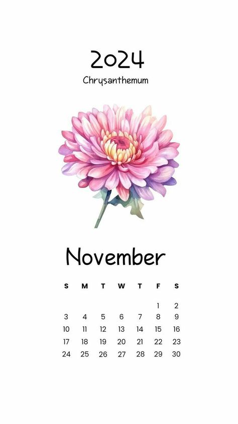 November Month Flower, November 2024 Calendar Aesthetic, November Calender 2024, November 2024 Calendar Wallpaper, November Calendar 2024 Aesthetic, November 2024 Calendar, November Calendar 2024, Nov Calendar, Chrysanthemum Wallpaper