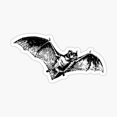 Dracula Stickers for Sale | Redbubble Dracula Art, Bat Sticker, Flying Bat, Dracula Castle, Stick N Poke Tattoo, Poke Tattoo, Vampire Hunter, Black Lagoon, Classic Monsters